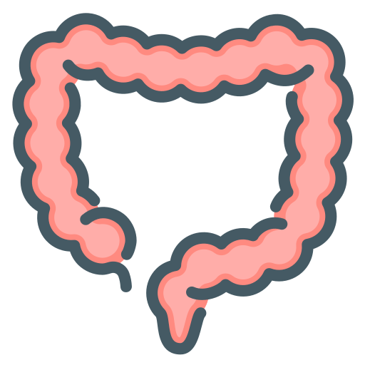 gastroenterología Generic Color Omission icono
