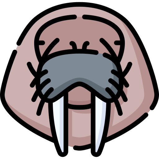 Walrus Special Lineal color icon