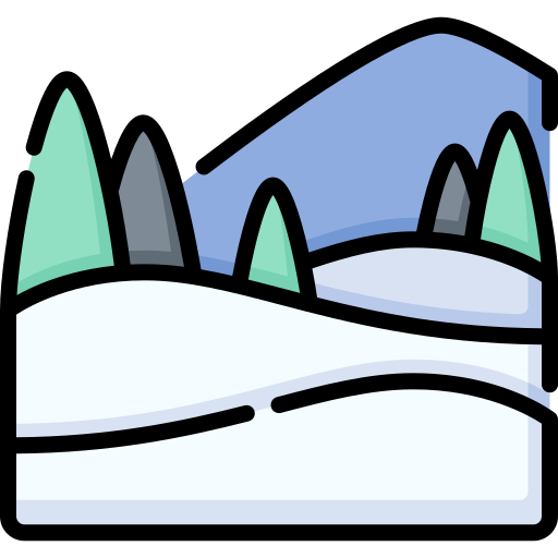 Śnieżne pole Special Lineal color ikona