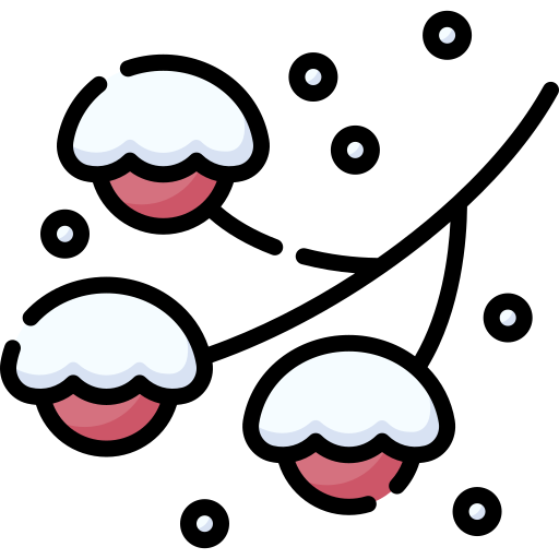 雪 Special Lineal color icon