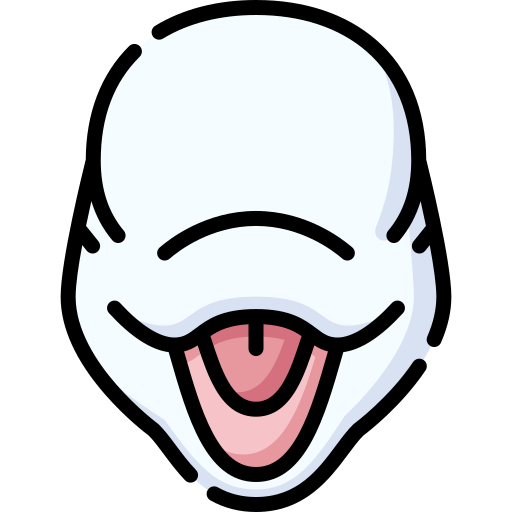 beluga Special Lineal color icon