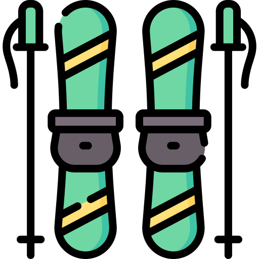 ski Special Lineal color icon