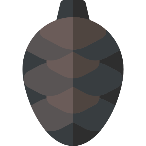 cono de pino Basic Rounded Flat icono