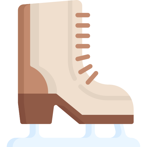 schaatsschoenen Special Flat icoon