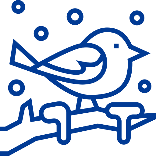 Bird Detailed bright Lineal icon