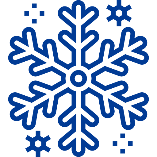 Snowflake Detailed bright Lineal icon