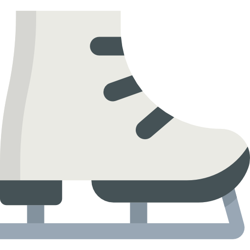 スケート靴 Special Flat icon