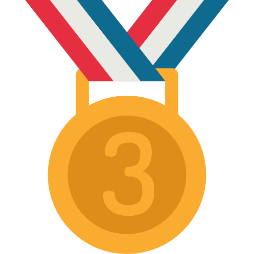 médaille de bronze Special Flat Icône