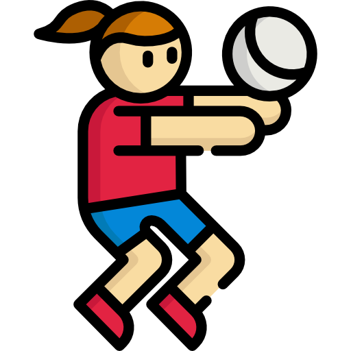 Волейбол Special Lineal color иконка