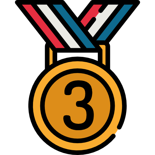 Bronze medal Special Lineal color icon