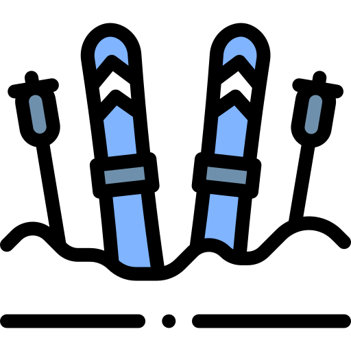 Ski Detailed Rounded Lineal color icon