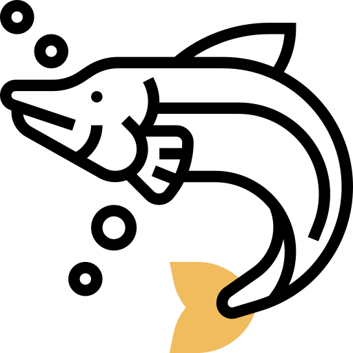 Salmon Meticulous Yellow shadow icon