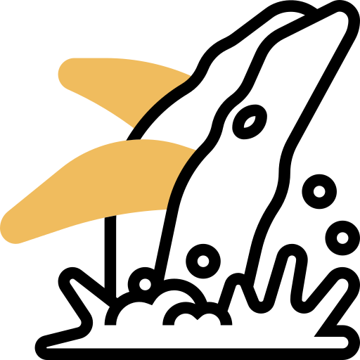 고래 Meticulous Yellow shadow icon