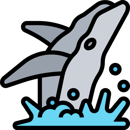 Whale Meticulous Lineal Color icon
