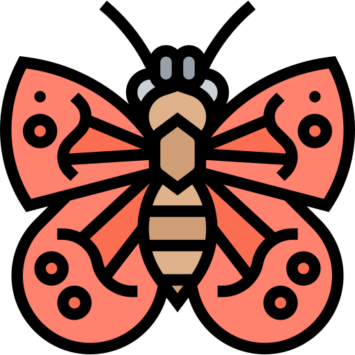 schmetterling Meticulous Lineal Color icon