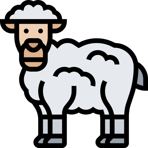 羊 Meticulous Lineal Color icon