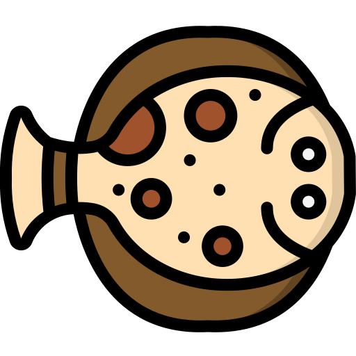Flounder Basic Miscellany Lineal Color icon