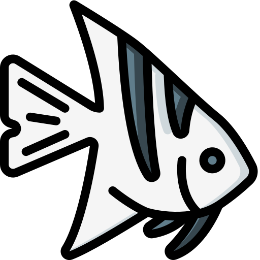 Angelfish Basic Miscellany Lineal Color icon