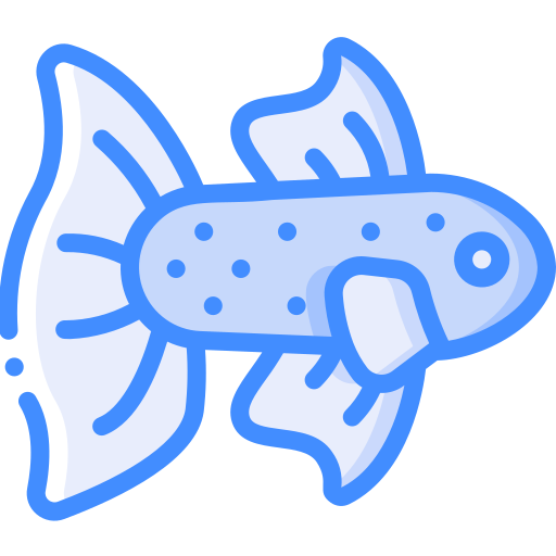 betta pesce Basic Miscellany Blue icona