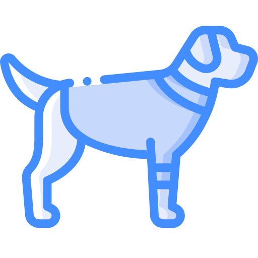 Dog Basic Miscellany Blue icon