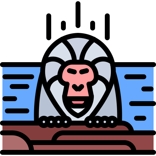 Monkey Coloring Color icon
