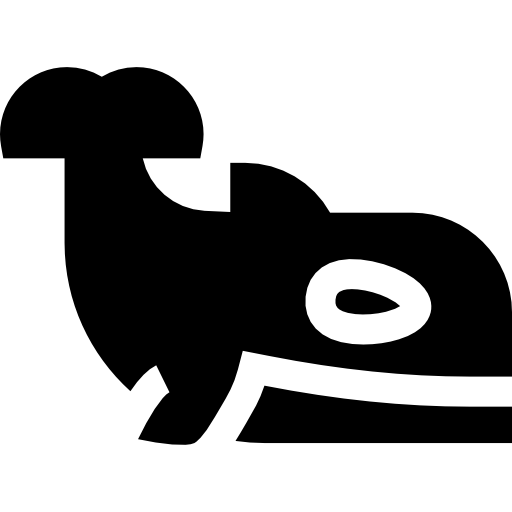범고래 Basic Straight Filled icon
