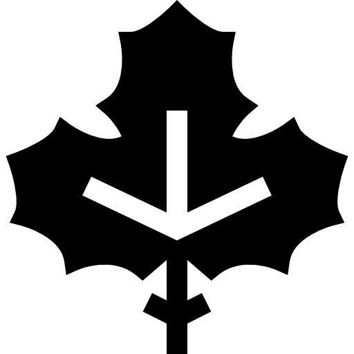 Maple leaf Basic Straight Filled icon