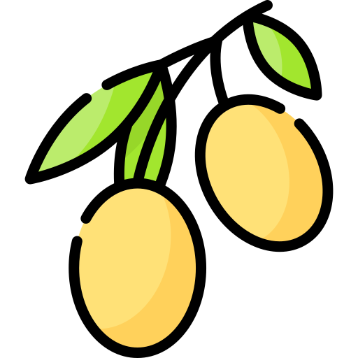 aceituna Special Lineal color icono