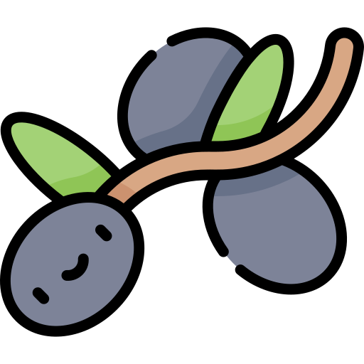 olive Kawaii Lineal color icon
