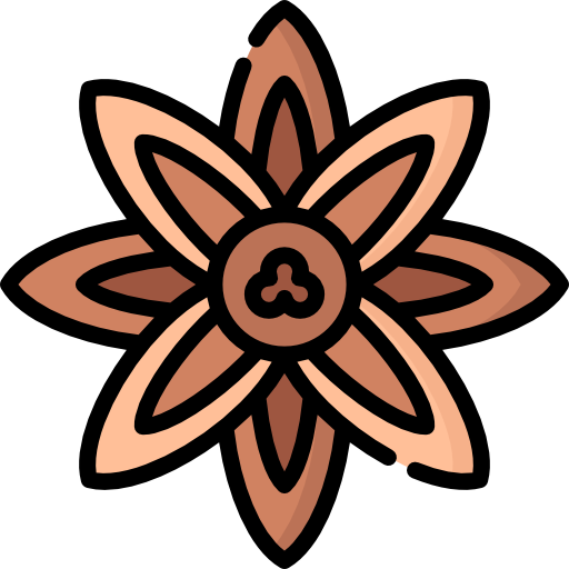 Anise Special Lineal color icon