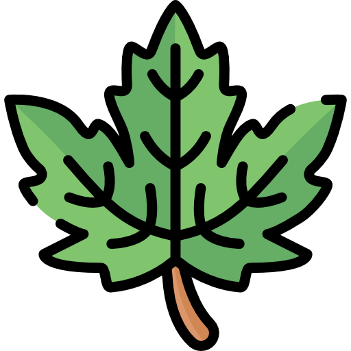 잎 Special Lineal color icon