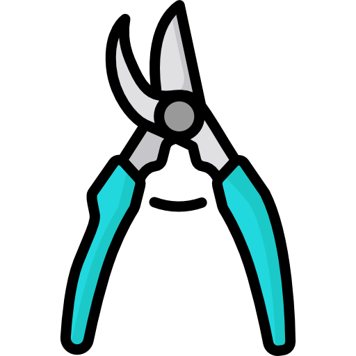 Scissors Special Lineal color icon