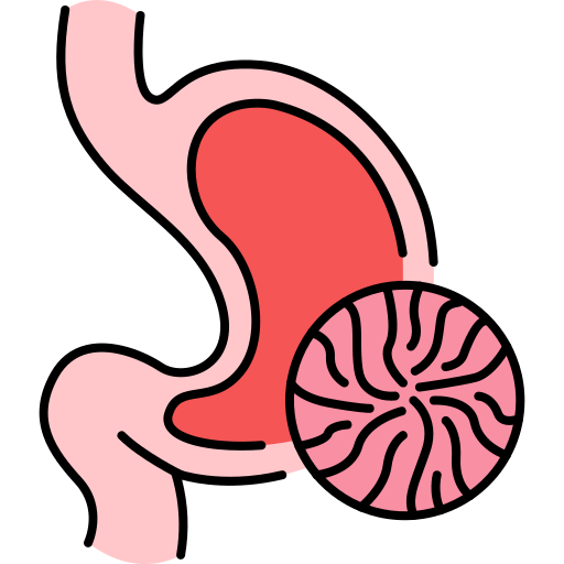 胃 Generic Outline Color icon
