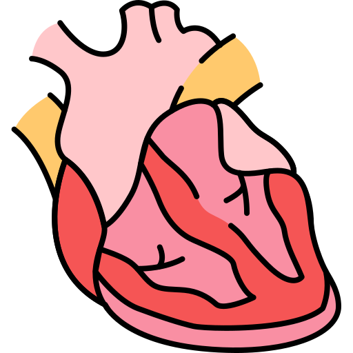 Сердце Generic Outline Color иконка