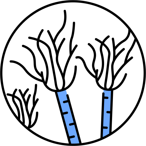 Fungus Generic Outline Color icon
