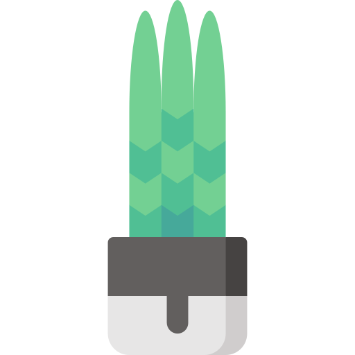 Змеиное растение Special Flat иконка