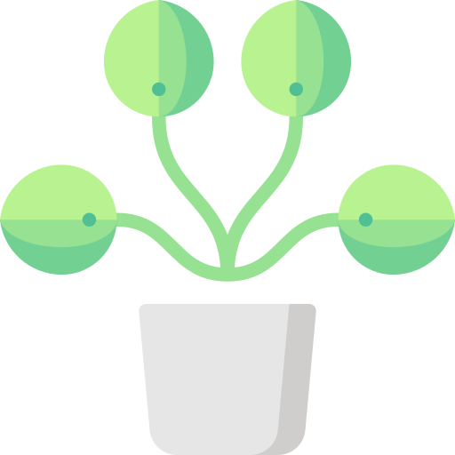 Pilea Special Flat icon