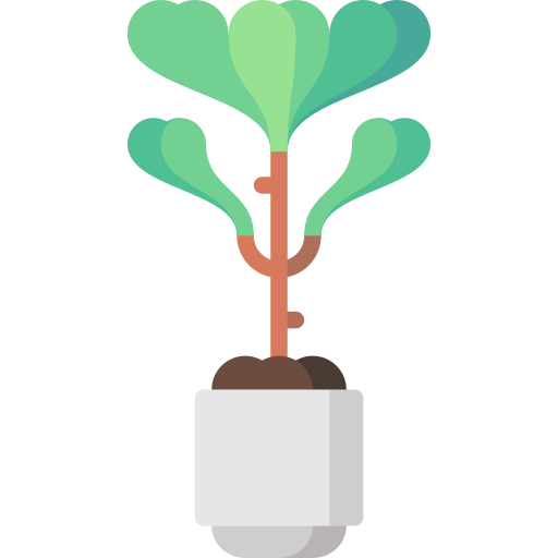 Fiddle fig Special Flat icon