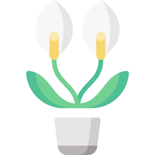 Peace lily Special Flat icon