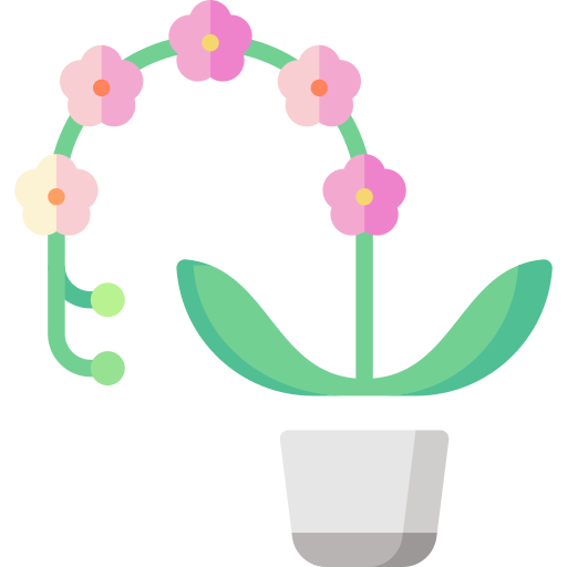 Орхидея Special Flat иконка