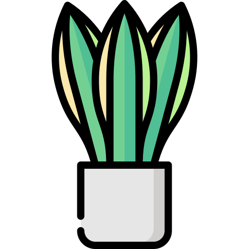 Snake plant Special Lineal color icon