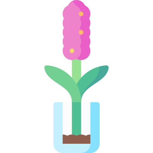 Hyacinth Special Flat icon