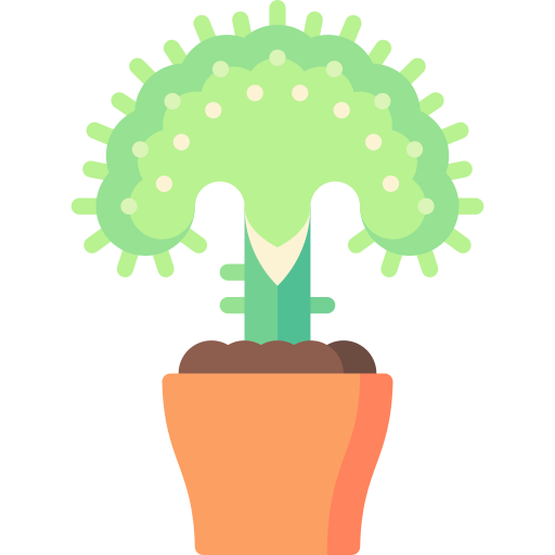 Coral cactus Special Flat icon