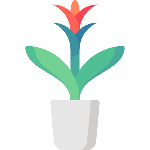 bromelien Special Flat icon