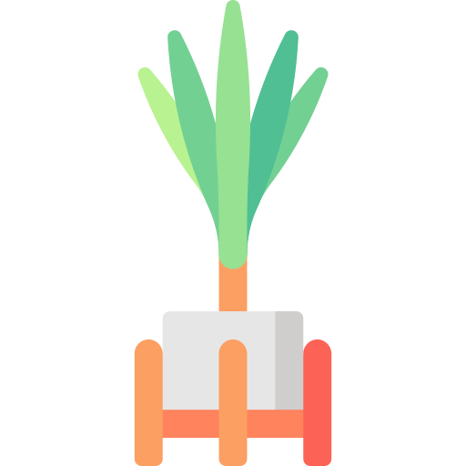 drachenbaum Special Flat icon