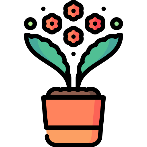 Kalanchoe Special Lineal color icon