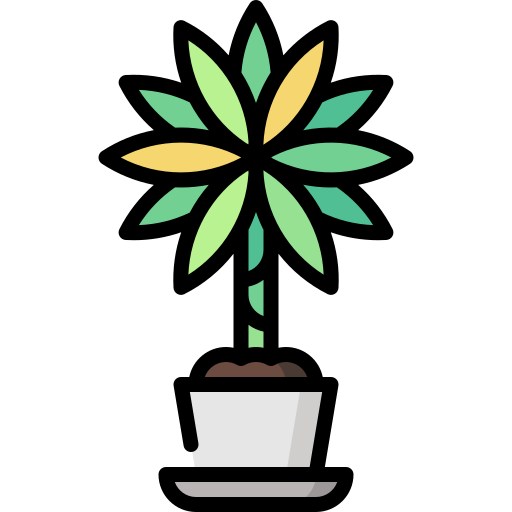 Dracaena Special Lineal color icon