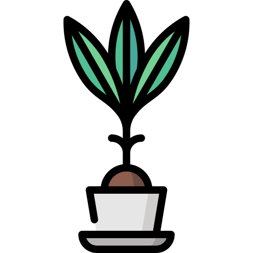 코코넛 야자 Special Lineal color icon