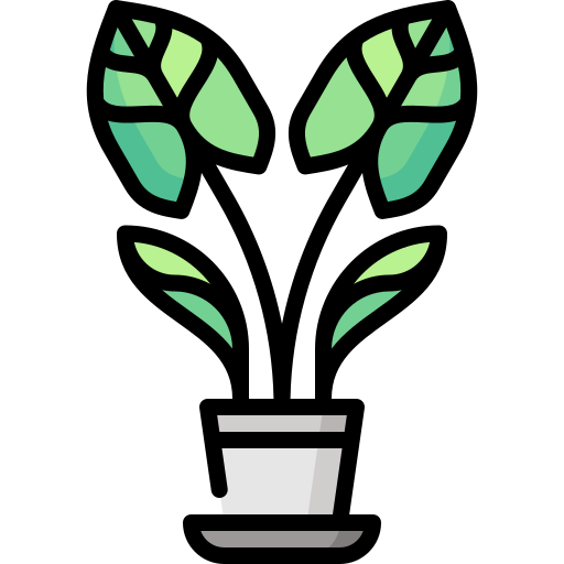 arrowhead растение Special Lineal color иконка
