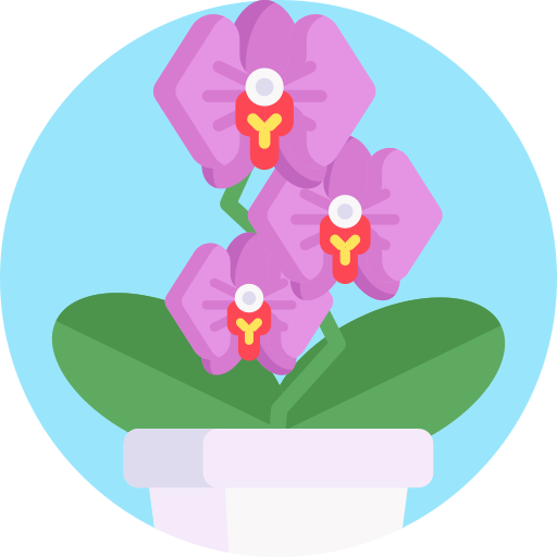 orchidea Detailed Flat Circular Flat icona